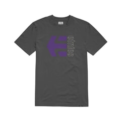 Etnies Corp Combo Short Sleeve T-Shirt in Dark Grey/White