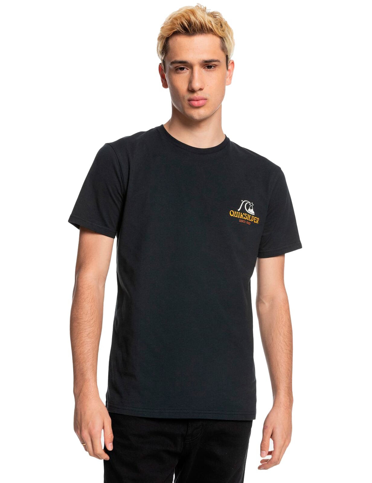 Quiksilver Phantasy Land Short Sleeve T-Shirt in Black 