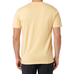 Rip Curl Badge Short Sleeve T-Shirt in Washed Yellow