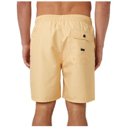 Rip Curl Easy Living Volley Elasticated Boardshorts in Washed Yellow