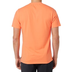 Rip Curl Framed Short Sleeve T-Shirt in Peach