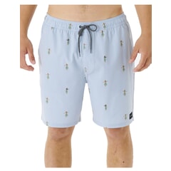 Rip Curl Hula Breach Volley Elasticated Boardshorts in Yucca for men