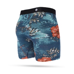 Stance Coco Palms Boxer Briefs in Teal