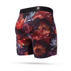 Stance Franklyn Wholester Boxers in Black