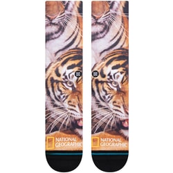Stance Two Tigers National Geographic Crew Socks in Black