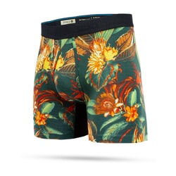 Stance Zecharia Wholester Boxers in Green