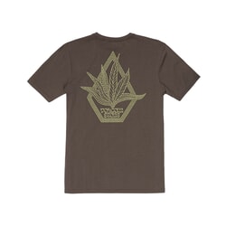 Volcom Perennial Short Sleeve T-Shirt in Rinsed Black